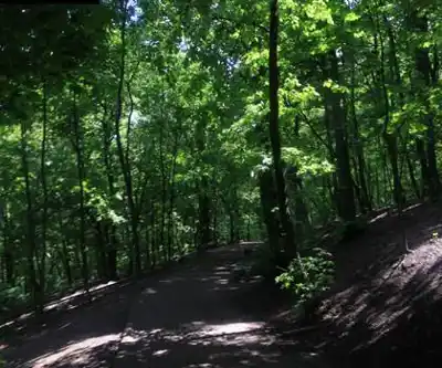 Birch Grove Park hiking trail - natural landscape