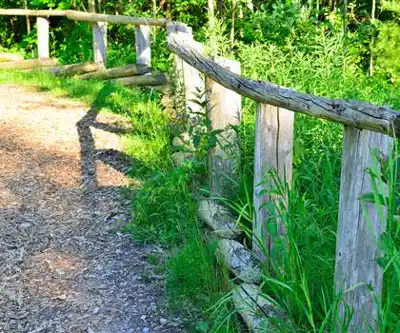 German Mills Settlers Park hiking trail - natural landscape
