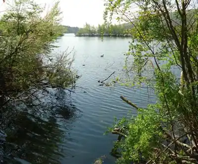 Franklin Lakes Nature Preserve hiking trail - natural landscape