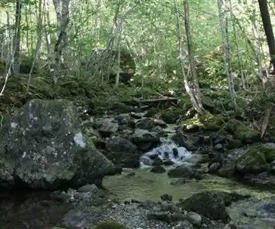 Sentier de randonnée Uisge Bàn Falls Provincial Park - paysage naturel
