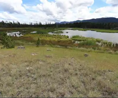 Big Bar Lake hiking trail - natural landscape