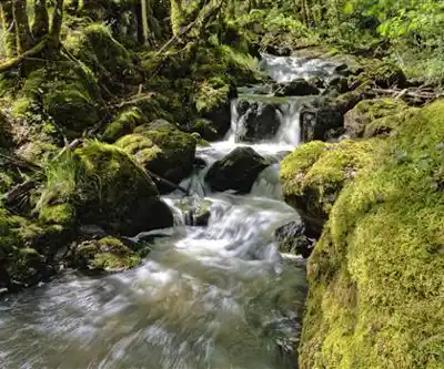 Gorges de l'Auvézère hiking trail - natural landscape