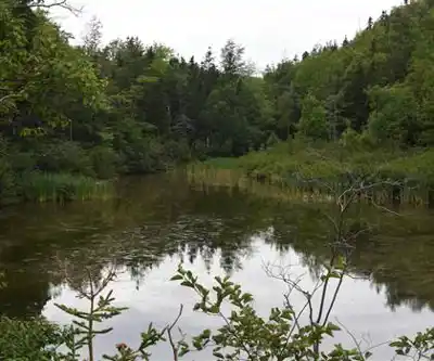 Sentier de randonnée Acadian Trailhead - paysage naturel