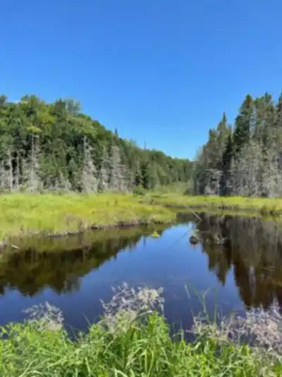 Hiking view of Sentiers Accès-nature Laurentides