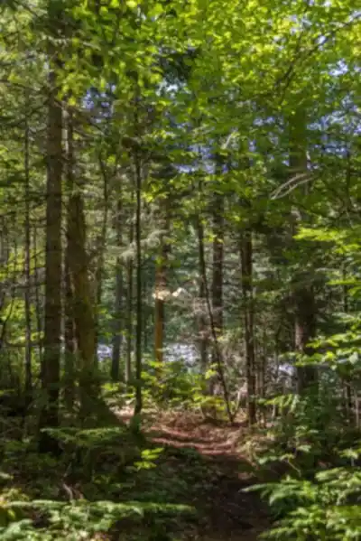 Discover Sentiers Accès-nature Laurentides in Laurentides