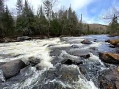 Sentiers Accès-nature Laurentides hike - nature and outdoors