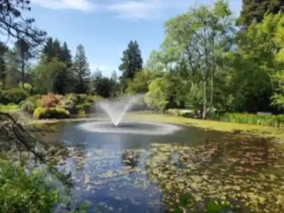 VanDusen Botanical Garden hike - nature and outdoors