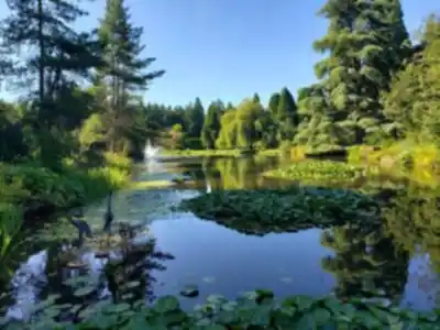 Discover VanDusen Botanical Garden in Vancouver Coast Mountains