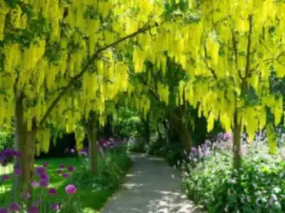Hiking view of VanDusen Botanical Garden