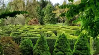 VanDusen Botanical Garden hiking trail - natural landscape