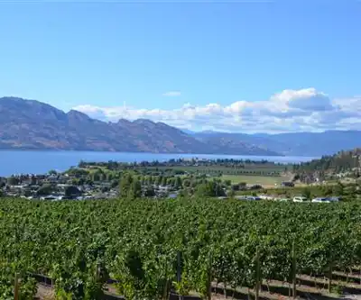 Okanagan Lake hiking trail - natural landscape