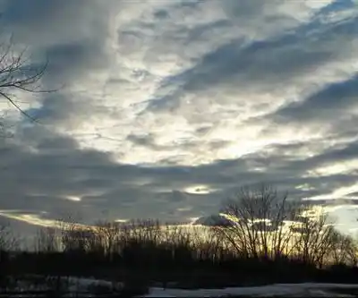 Amico Island Park hiking trail - natural landscape