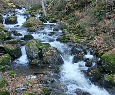North River Waterfall hiking trail - natural landscape