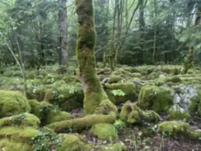 Sentier Karstique Besain hiking trail - natural landscape