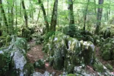 Hiking view of Sentier Karstique Besain