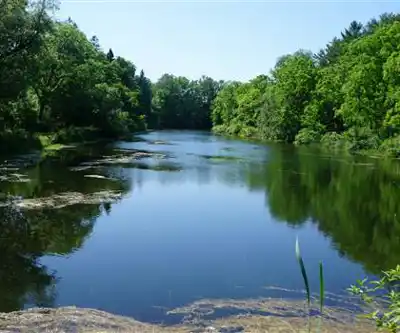 Mount Pleasant Nature Park hiking trail - natural landscape