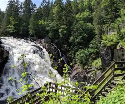Vue en randonnée de Parc National Du Mont-tremblant