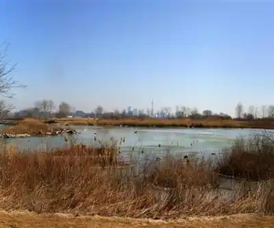 Humber Bay Park East hiking trail - natural landscape