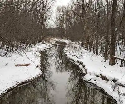 Sentier de randonnée Parc-nature Du Bois-de-liesse - paysage naturel
