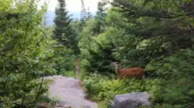Explorer le sentier Parc National Du Mont-Mégantic