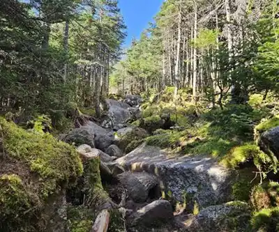 Balade en nature à Parc National Du Mont-Mégantic