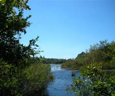 Sentier de randonnée Sans Souci County Park - paysage naturel