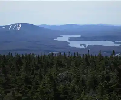 Stratton Mountain Resort hiking trail - natural landscape