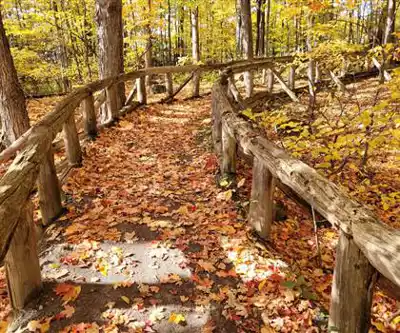 Randonnée Centre D'interprétation De La Nature Et Sentier Des Berges De Boisbriand - nature et plein air
