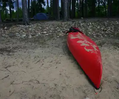 Quetico Provincial Park hiking trail - natural landscape