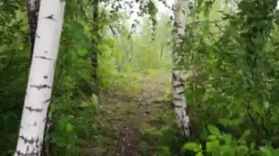 Paysage de Parc Régional De Beauharnois-salaberry - randonnée pédestre