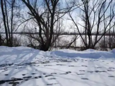 Randonnée Parc Régional De Beauharnois-salaberry - nature et plein air
