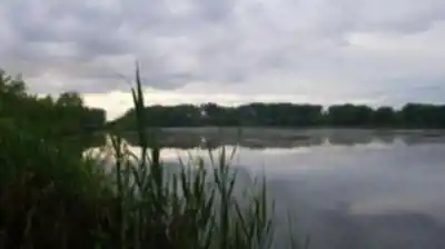 Vue en randonnée de Parc Régional De Beauharnois-salaberry