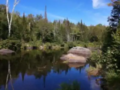 Vue en randonnée de Parc De La Rivière Doncaster