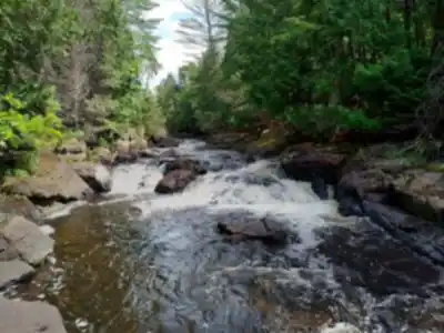 Randonnée Parc De La Rivière Doncaster - nature et plein air