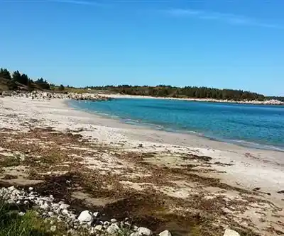 Sentier de randonnée Pennant Point Cove - paysage naturel