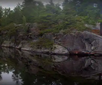 Grundy Lake Provincial Park hiking trail - natural landscape