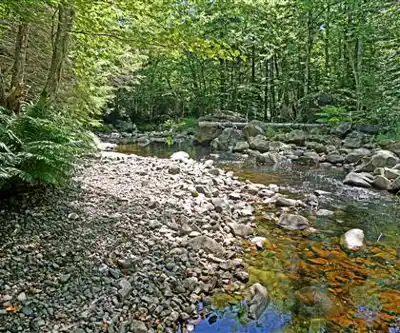Crowbar Lake Trail hiking trail - natural landscape