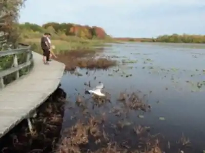 Vue en randonnée de Centre d'Interprétation de la Nature du Lac Boivin