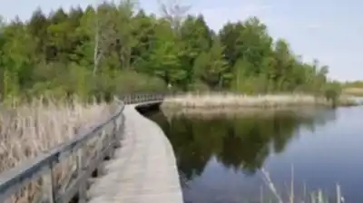 Sentier de randonnée Centre d'Interprétation de la Nature du Lac Boivin - paysage naturel