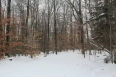 Hiking view of Parc du Mont-Bellevue