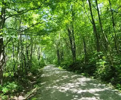 Parc du Mont-Bellevue hike - nature and outdoors
