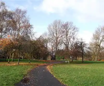 Brookdale Park hiking trail - natural landscape