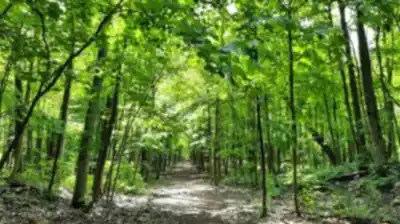 On the trails of Bois De La Source