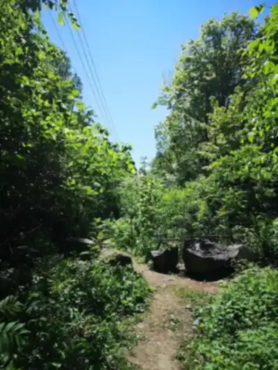 Discover Bois De La Source in Laval