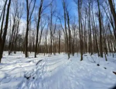 Bois De La Source hiking trail - natural landscape