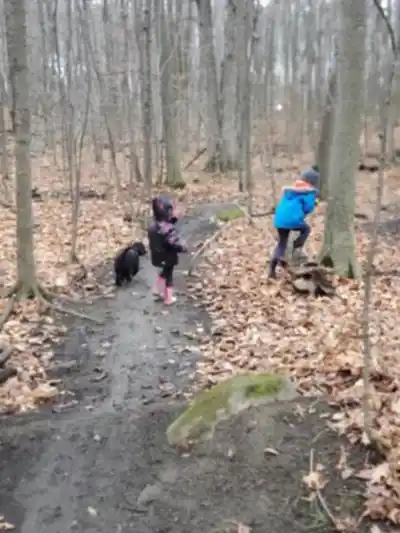 Bois De La Source hike - nature and outdoors