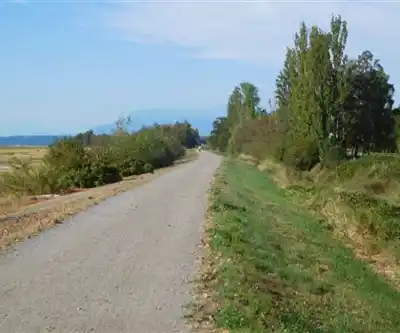 Sentier de randonnée Terra Nova Rural Park - paysage naturel