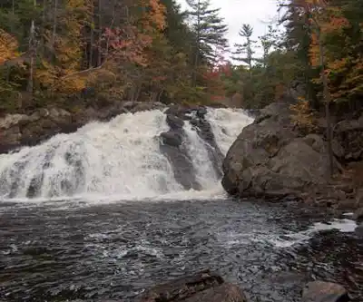 Profile Falls hiking trail - natural landscape