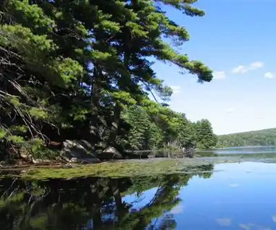 Palisades Interstate Park hiking trail - natural landscape
