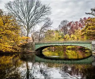 Prospect Lake Park hiking trail - natural landscape